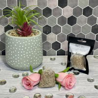 Sun Drenched Apricot Rose Scented Pouch