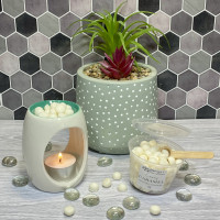 ( Natural ) Creamy Caramel Scoopies