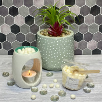 ( Natural ) Lime, Basil & Mandarin Scoopies